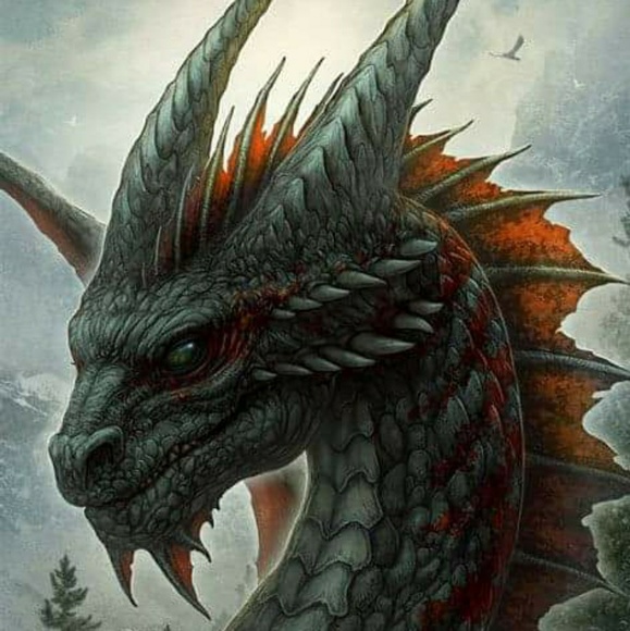 Meet your Posher, Timea - Picture 1 of 1